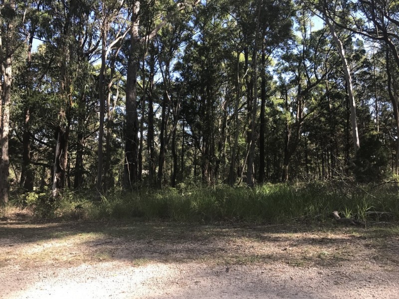 9 BROLGA STREET, Macleay Island QLD 4184