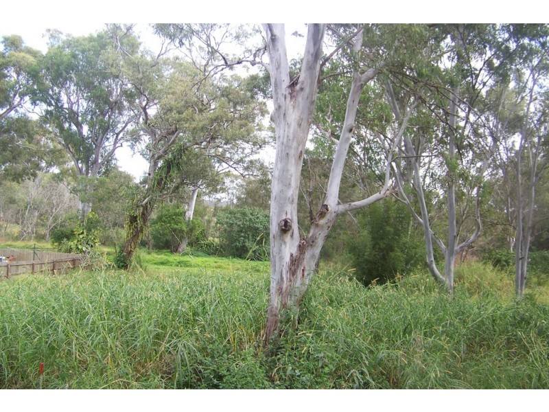 153 LUCAS DR, Lamb Island QLD 4184