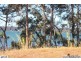 12 TINA AV, Lamb Island QLD 4184