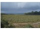 8 TIMOTHY STREET, Macleay Island QLD 4184