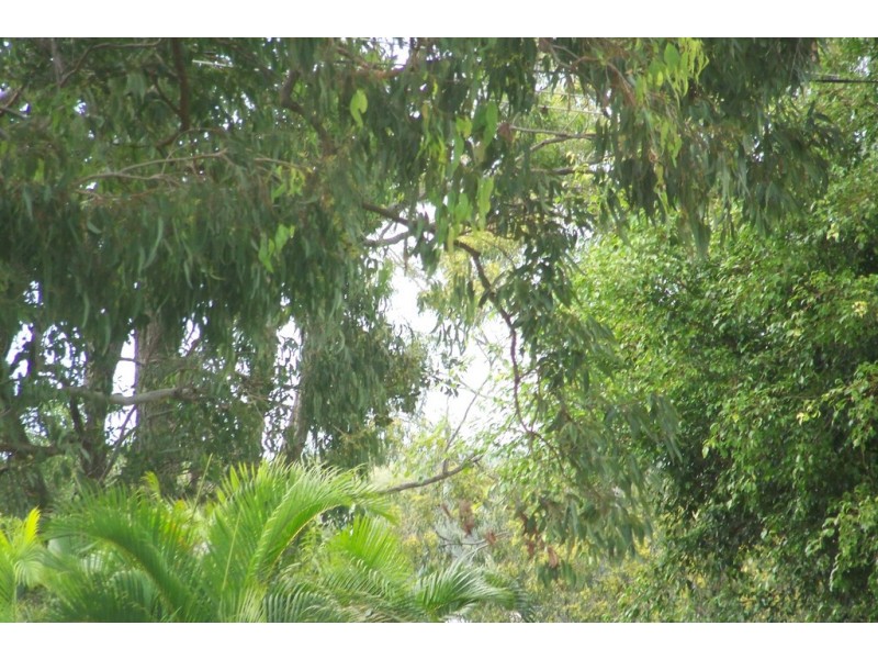 10 CREST HAVEN, Lamb Island QLD 4184