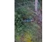 21 Wanda, Macleay Island QLD 4184