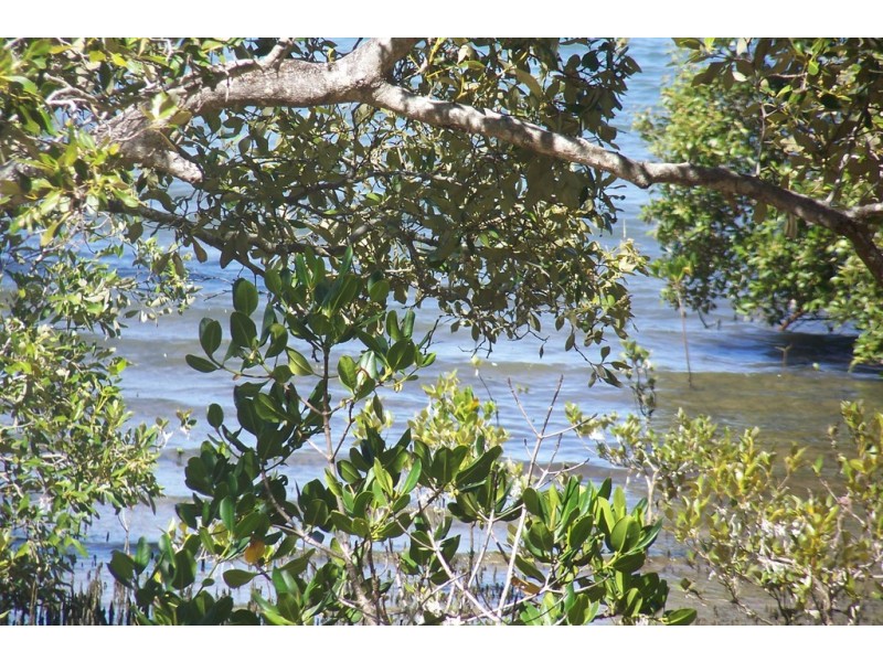 3 AZURE COURT, Lamb Island QLD 4184