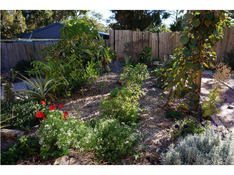37 Kardinia street, Macleay Island QLD 4184