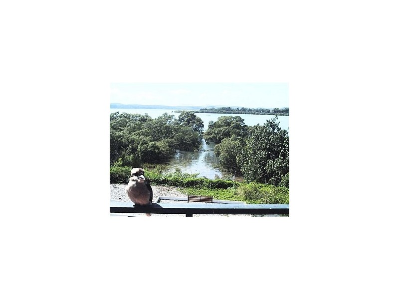 10 KILTO LANE, Macleay Island QLD 4184