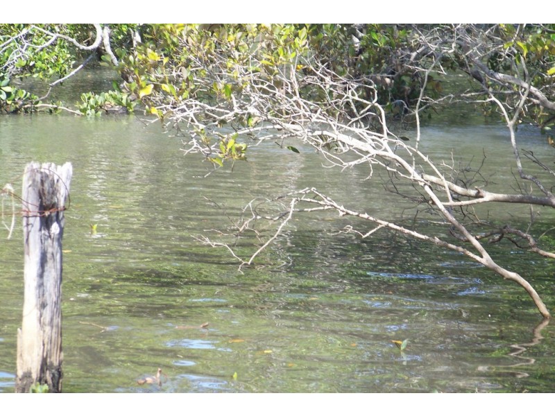 45 -49 PIER HAVEN, Lamb Island QLD 4184