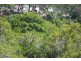 45 -49 PIER HAVEN, Lamb Island QLD 4184