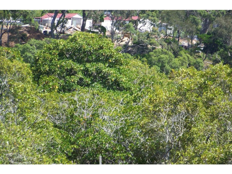 45 -49 PIER HAVEN, Lamb Island QLD 4184