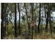 11 Beelong Street, Macleay Island QLD 4184