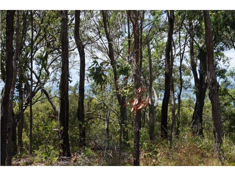 11 Beelong Street, Macleay Island QLD 4184