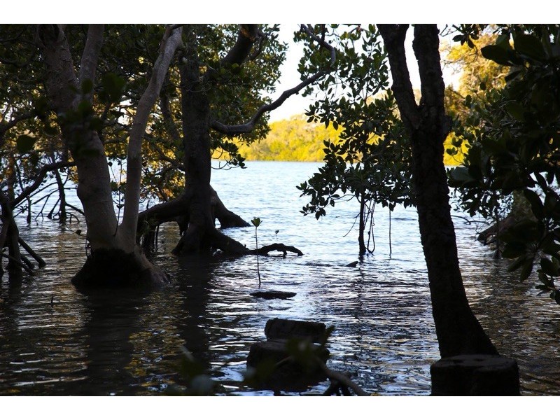 2 Keith St, Macleay Island QLD 4184