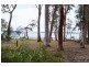 54 COAST ROAD, Macleay Island QLD 4184