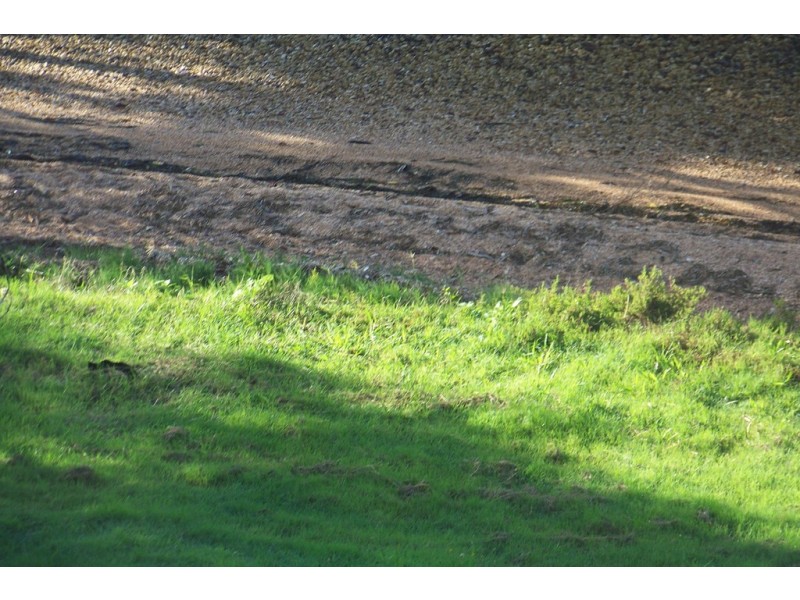 40 RESTHAVEN DRIVE, Lamb Island QLD 4184