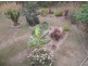 11 JANE ST, Macleay Island QLD 4184