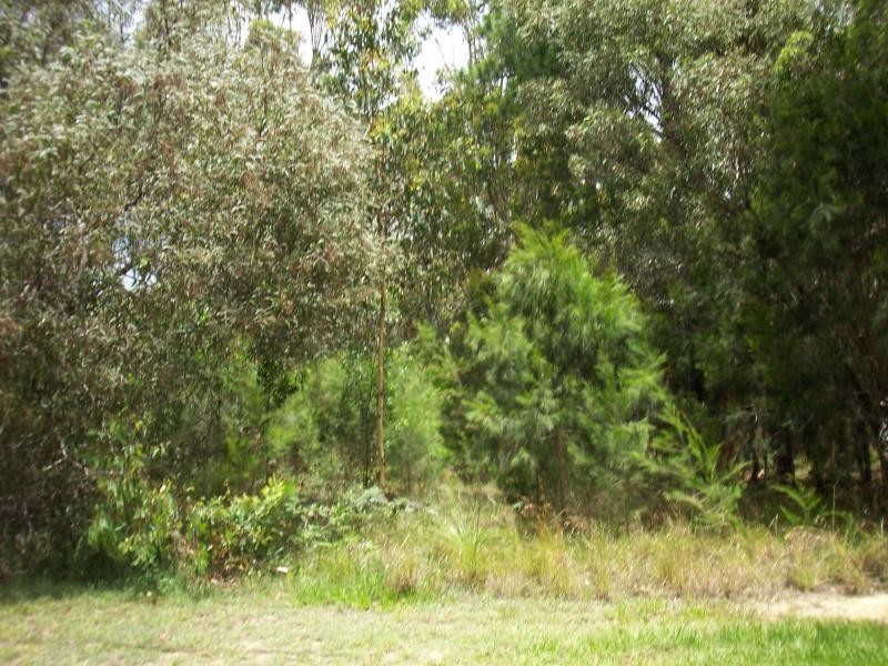 2 Aruma Street, Macleay Island QLD 4184