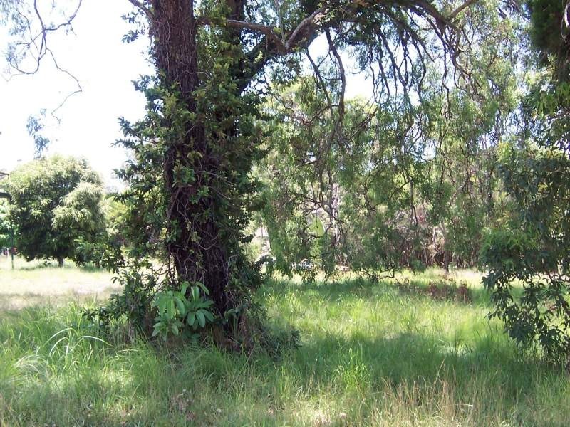51 Southsea Terrace, Macleay Island QLD 4184