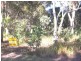 10 Allambie Street, Macleay Island QLD 4184