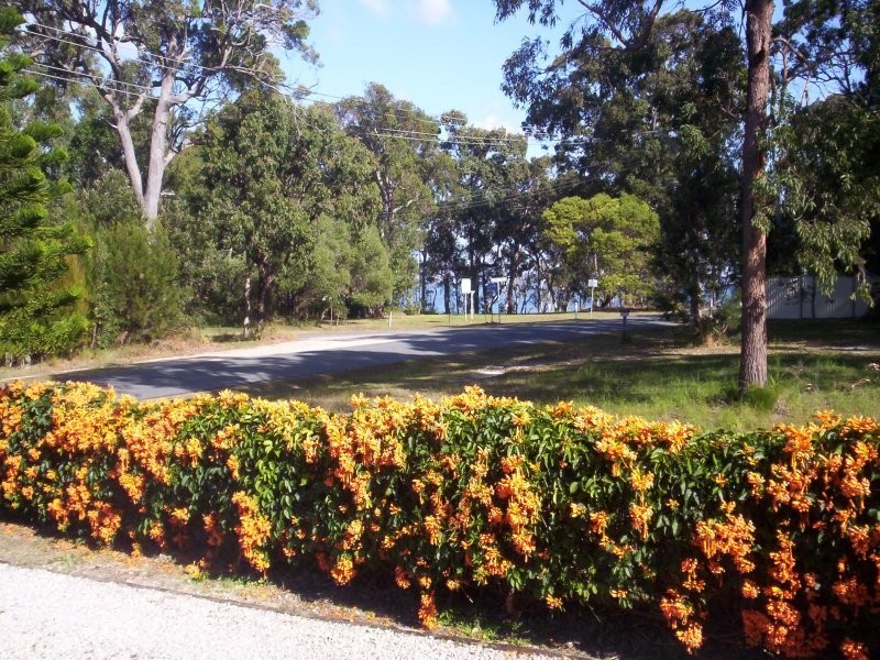 19 Benowa Street, Macleay Island QLD 4184