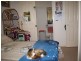 19 Alkira St, Macleay Island QLD 4184