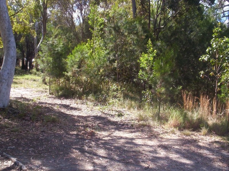 23 Cathy Street, Macleay Island QLD 4184