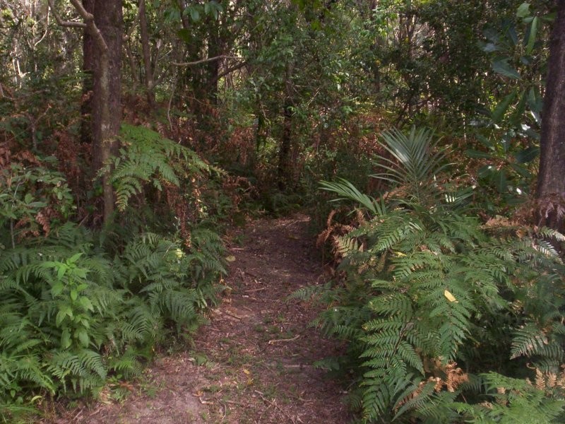 35 Francis, Macleay Island QLD 4184