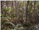 35 Francis, Macleay Island QLD 4184