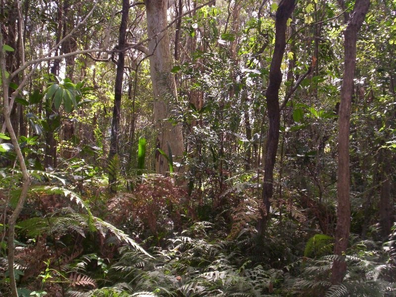 35 Francis, Macleay Island QLD 4184