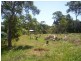 38 Nunkeri Drive, Macleay Island QLD 4184