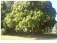 7 Mango Cresc, Macleay Island QLD 4184