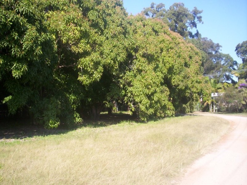 7 Mango Cresc, Macleay Island QLD 4184