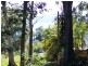 21 ALKIRA STREET, Macleay Island QLD 4184