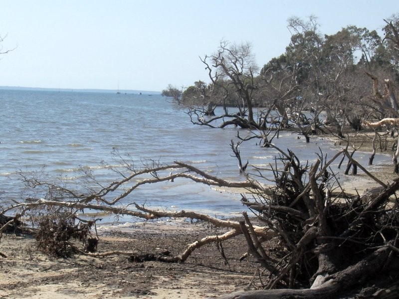 54 Coast Rd, Macleay Island QLD 4184