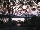64 Charles Terrace, Macleay Island QLD 4184