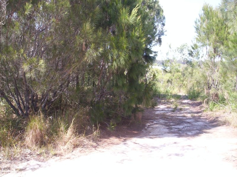 12 Emita St, Macleay Island QLD 4184