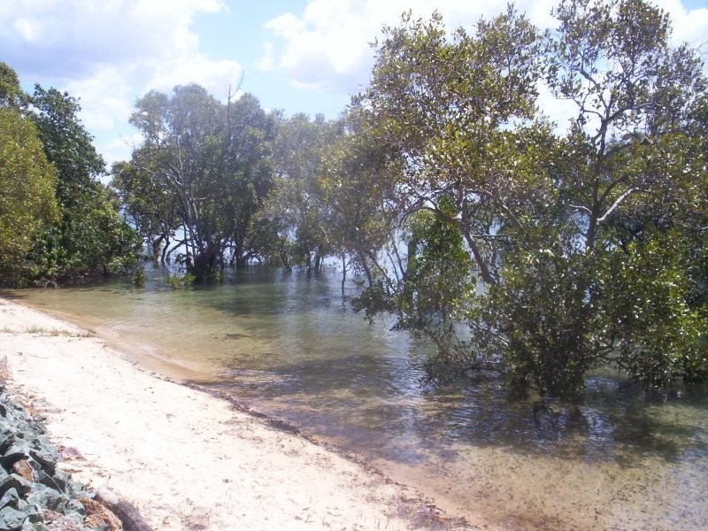 54 Attunga St, Macleay Island QLD 4184