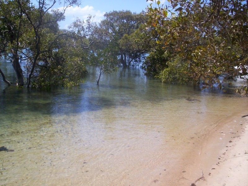 54 Attunga St, Macleay Island QLD 4184