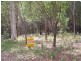 24 Noogie Street, Macleay Island QLD 4184