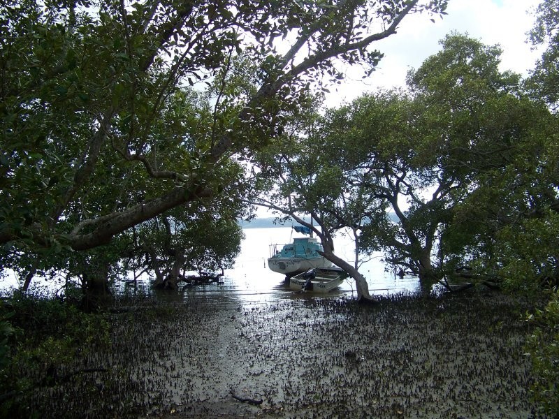 61 Beelong Street, Macleay Island QLD 4184
