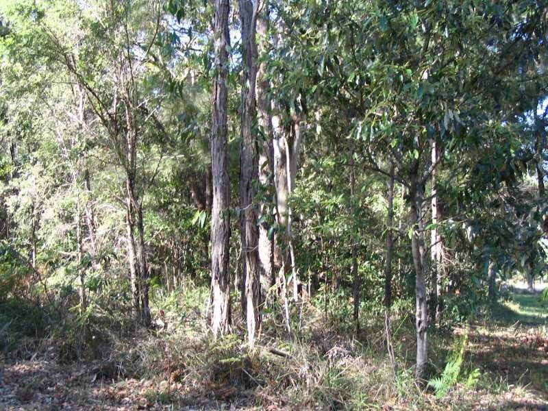 15 Oxley Avenue, Russell Island QLD 4184