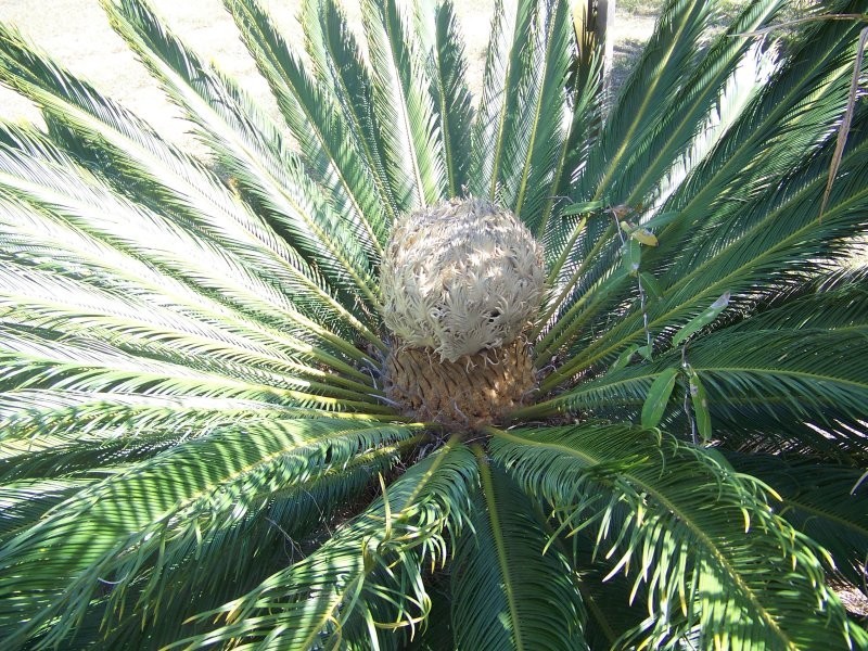 18 Granadilla St, Macleay Island QLD 4184