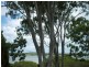 Macleay Island QLD 4184