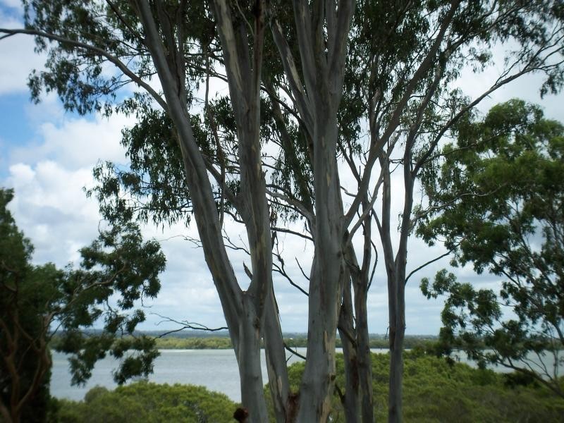 Macleay Island QLD 4184