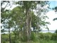 Macleay Island QLD 4184