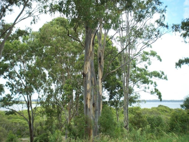 Macleay Island QLD 4184