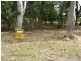 17 Brolga Street, Macleay Island QLD 4184