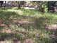 24 Coast Rd, Macleay Island QLD 4184