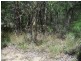 15 Rhodes St, Macleay Island QLD 4184