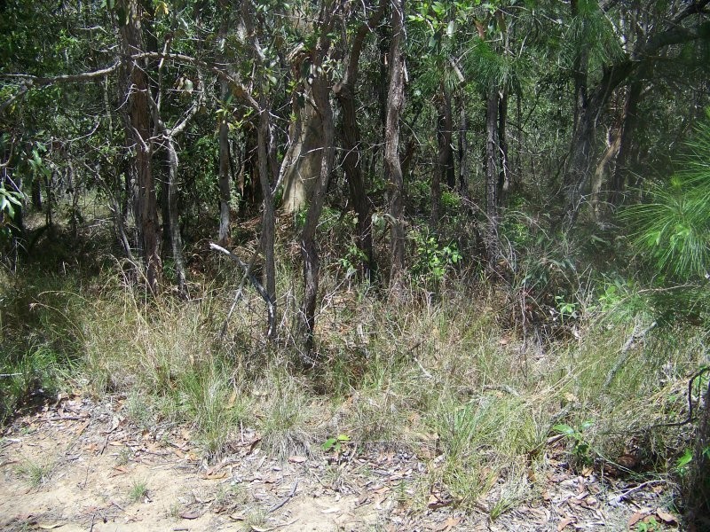 15 Rhodes St, Macleay Island QLD 4184