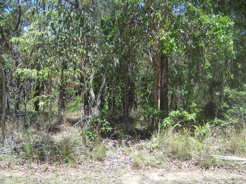 15 Rhodes St, Macleay Island QLD 4184