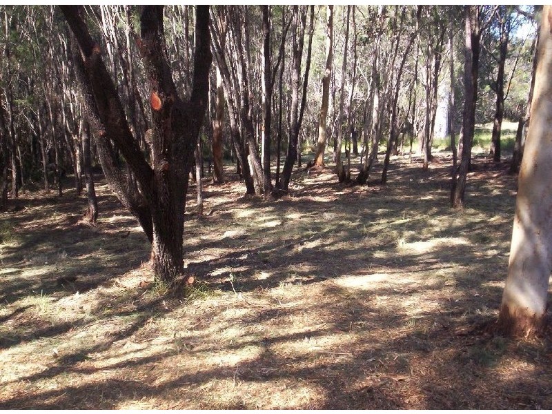 24  LAKESIDE AVE, Macleay Island QLD 4184